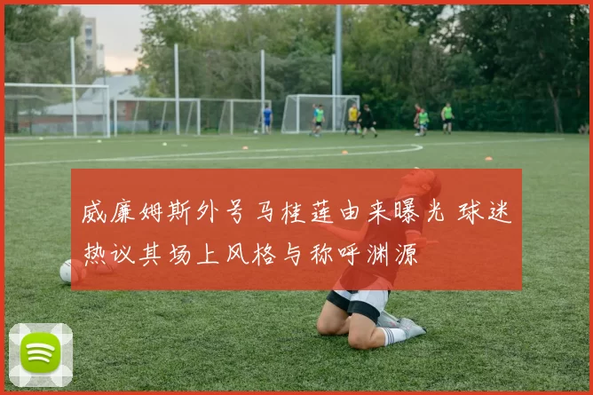 威廉姆斯外号马桂莲由来曝光 球迷热议其场上风格与称呼渊源