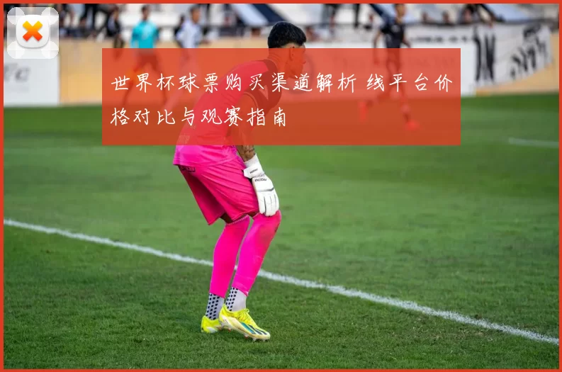 世界杯球票购买渠道解析 线平台价格对比与观赛指南