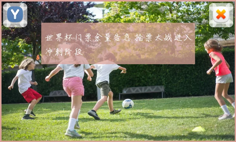 世界杯门票余量告急 抢票大战进入冲刺阶段