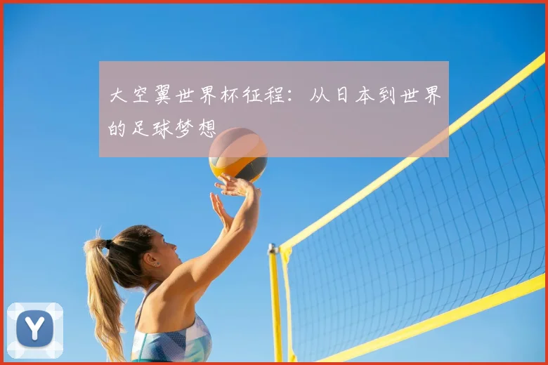 大空翼世界杯征程：从日本到世界的足球梦想