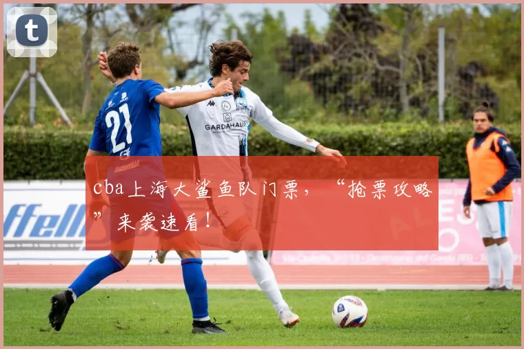 cba上海大鲨鱼队门票，“抢票攻略”来袭速看！