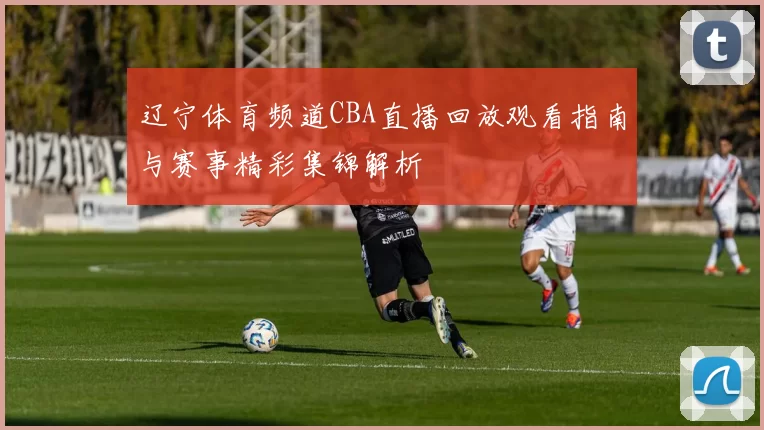 辽宁体育频道CBA直播回放观看指南与赛事精彩集锦解析