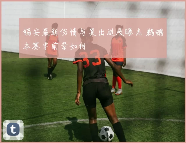 锡安最新伤情与复出进展曝光 鹈鹕本赛季前景如何