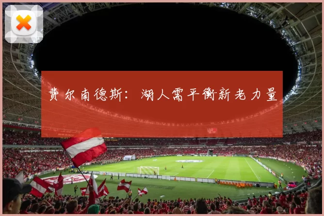 费尔南德斯：湖人需平衡新老力量