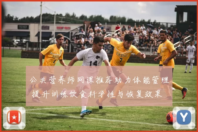 公共营养师网课推荐助力体能管理 提升训练饮食科学性与恢复效果