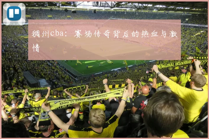 稠州cba:赛场传奇背后的热血与激情