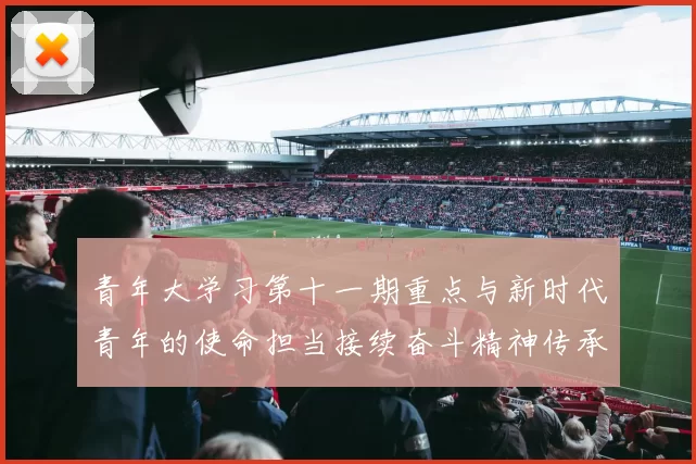 青年大学习第十一期重点与新时代青年的使命担当接续奋斗精神传承